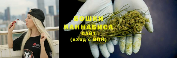 ECSTASY Богородицк