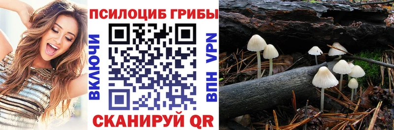 как найти   Горбатов  Галлюциногенные грибы Psilocybine cubensis 