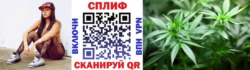Марихуана гибрид где купить наркоту Горбатов